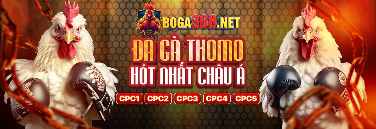 Đá Gà Trực Tuyến mew88 link mới