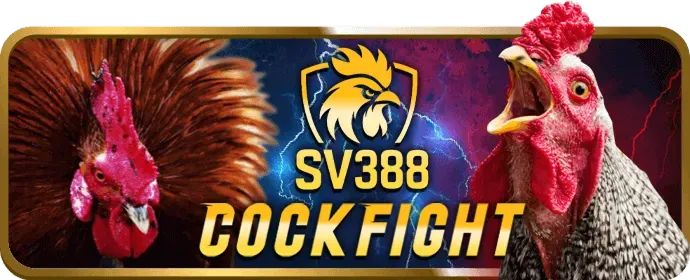Vòng quay miễn phí mew88